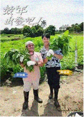 电影放课后播客封面